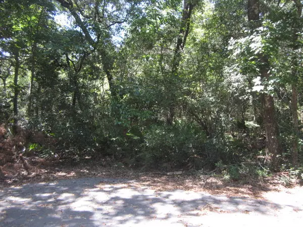 Freeport, FL 32439,Lots 4 &5 GALE Court