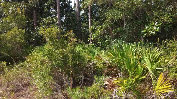 Santa Rosa Beach, FL 32459,Lot 8 Arianna Lane