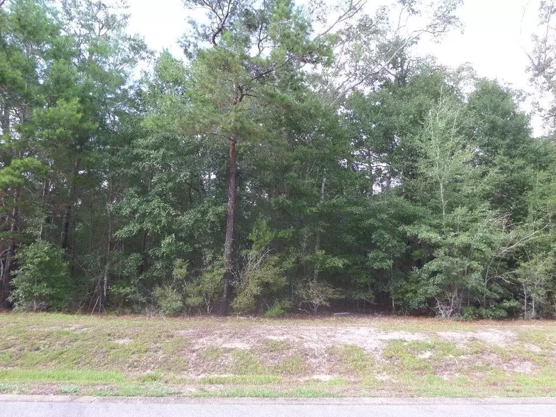 Lot 18 J Hunters Way, Freeport, FL 32439