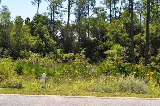 Lot 34 REDBUD Lane, Inlet Beach, FL 32461