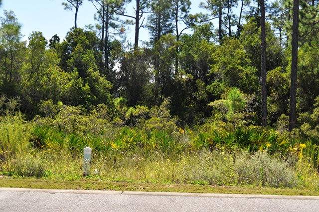 Lot 34 REDBUD Lane, Inlet Beach, FL 32461