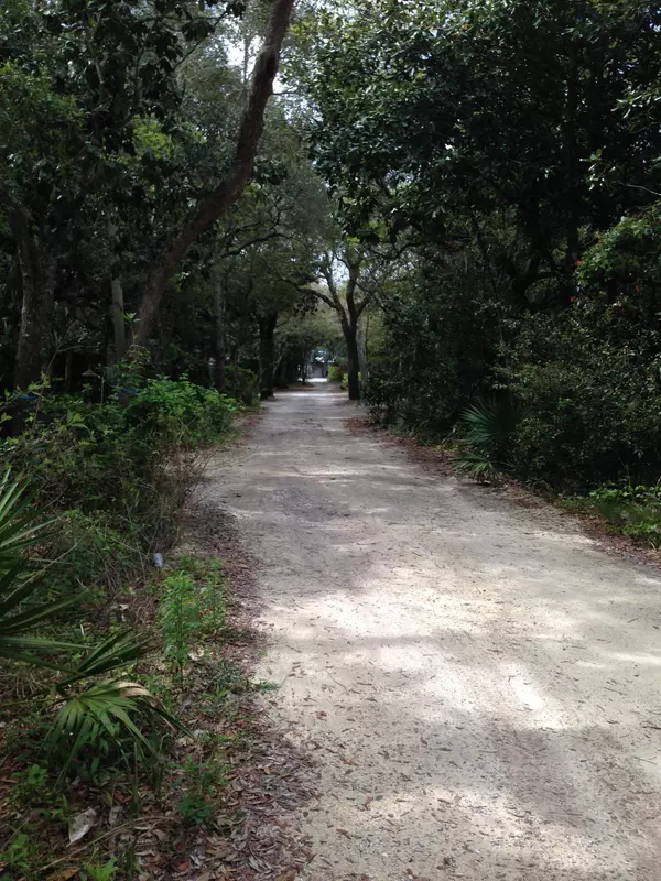 Santa Rosa Beach, FL 32459,Lot 1A AZALEA Street