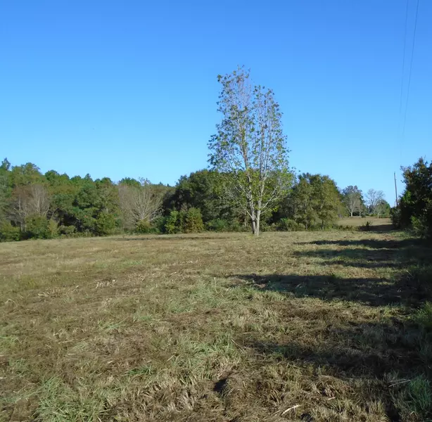 000 Co. Hwy 2A, Defuniak Springs, FL 32433