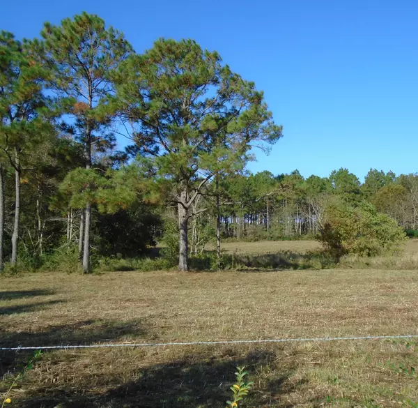 Defuniak Springs, FL 32433,000 Co. Hwy 2A