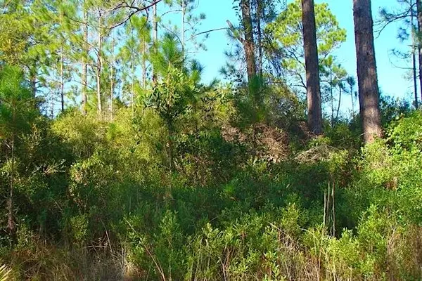 Santa Rosa Beach, FL 32459,Lot 4 CORD Road