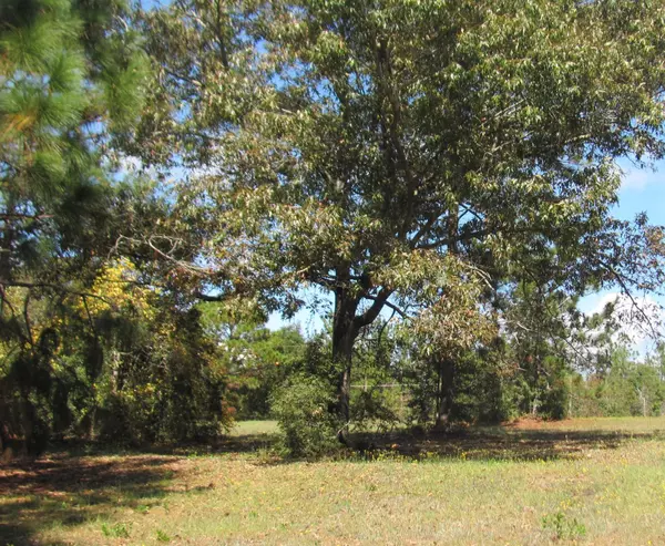 Defuniak Springs, FL 32433,2.9 Acres PAUL Road