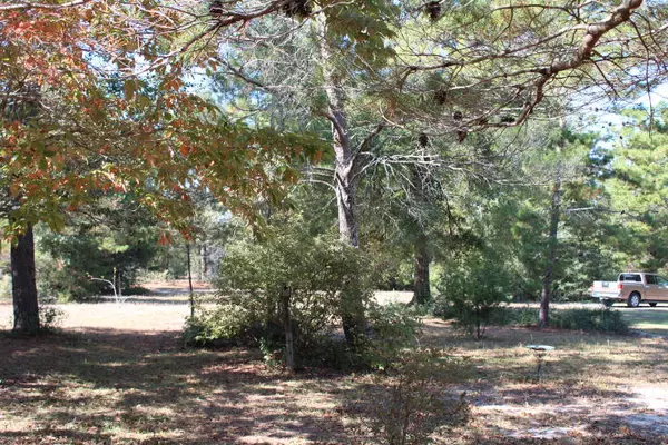 Defuniak Springs, FL 32433,1097 Bob Mccaskill Drive