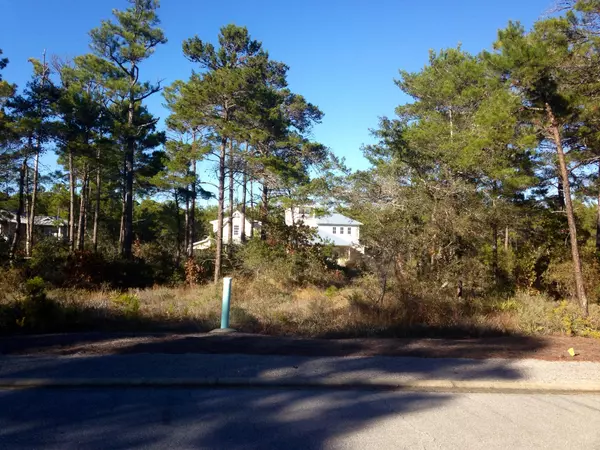 Santa Rosa Beach, FL 32459,Lot 67 IBIS Drive