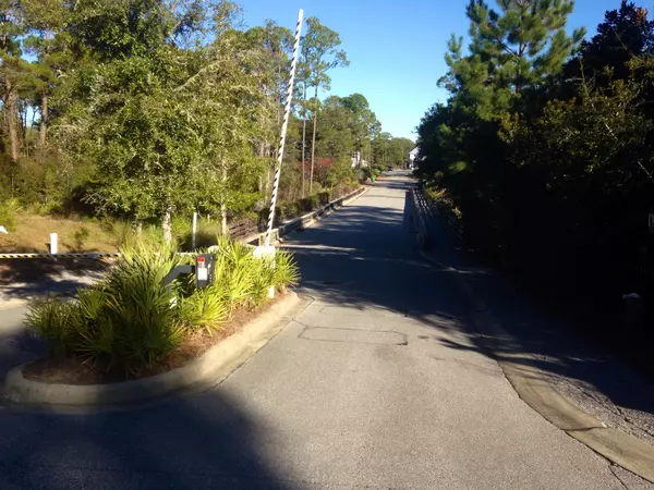 Santa Rosa Beach, FL 32459,Lot 67 IBIS Drive