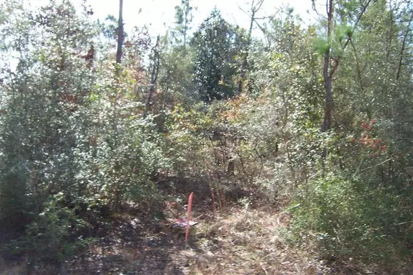 Defuniak Springs, FL 32433,lot 45 REMBRANDT Circle