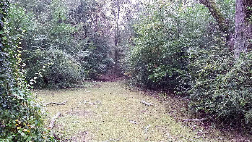 6101 N US-331, Defuniak Springs, FL 32433