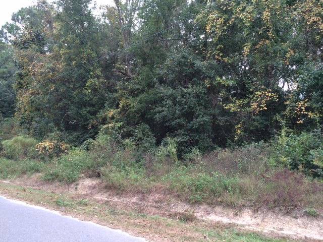 Lot 4 W MITCHELL Avenue, Santa Rosa Beach, FL 32459