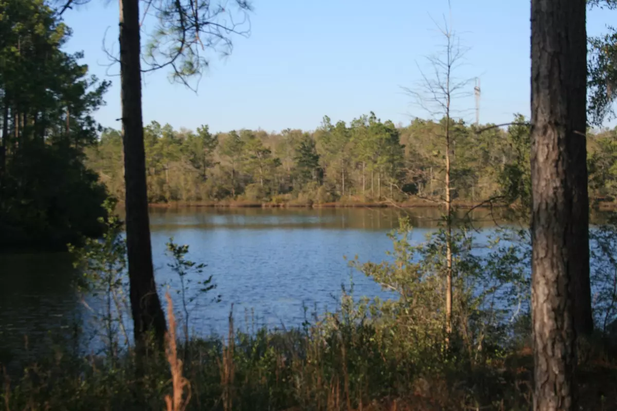 Defuniak Springs, FL 32433,15 MAGNOLIA LAKE Drive