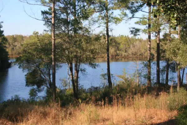 Defuniak Springs, FL 32433,15 MAGNOLIA LAKE Drive