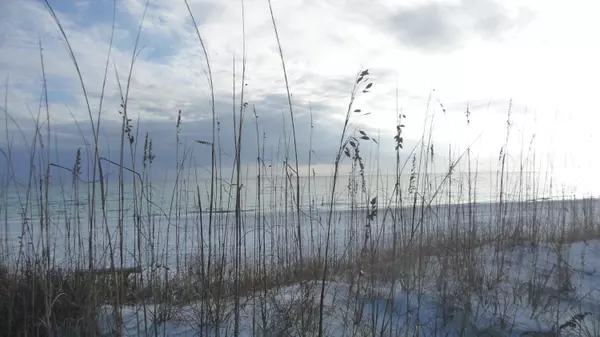 Santa Rosa Beach, FL 32459,245 TWISTED PINE Trail