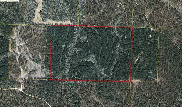 Ponce De Leon, FL 32455,60AC C J Laird Rd