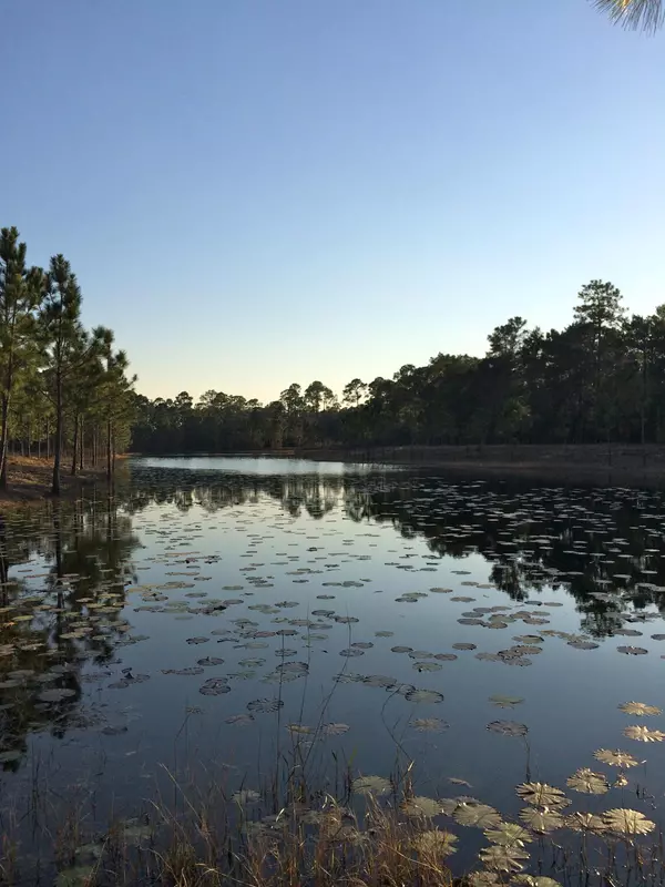 Panama City Beach, FL 32413,1521 DUNE LAKE Trail