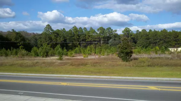 Freeport, FL 32439,5+/- Acres State Highway 20