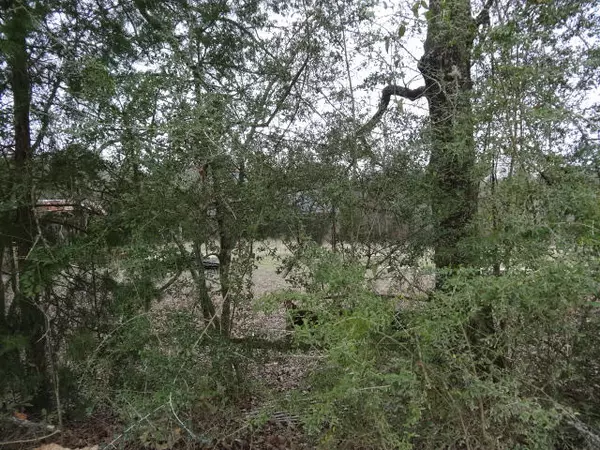 Defuniak Springs, FL 32433,12.003 ac Indian Creek Ranch Road