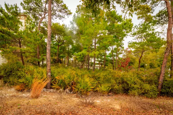 Lot 23 Block C Greenway Park, Santa Rosa Beach, FL 32459