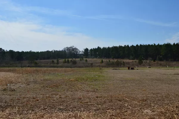 Laurel Hill, FL 32567,0000 Steel Mill Creek Road