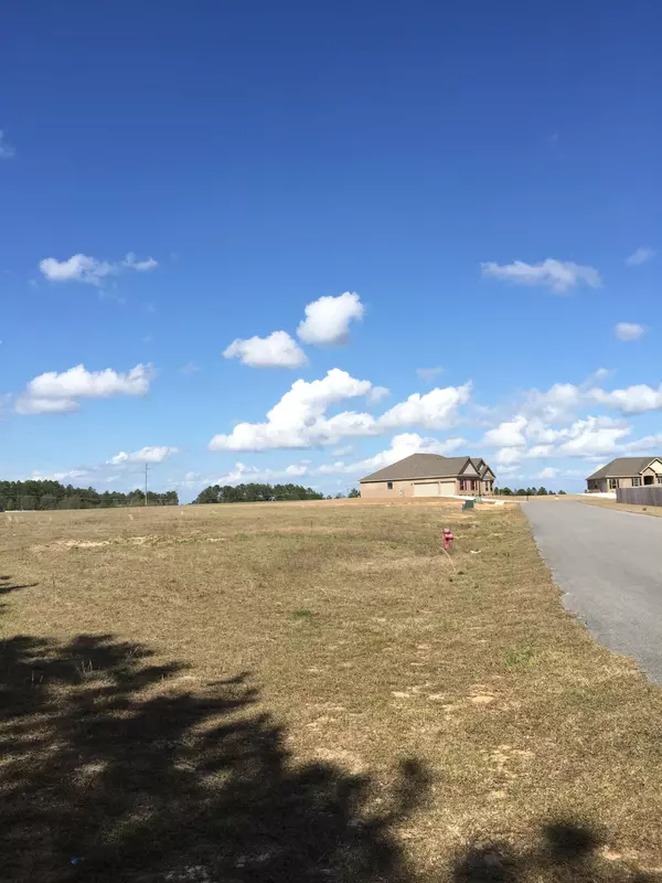 Crestview, FL 32539,LOT14 Citrine Circle