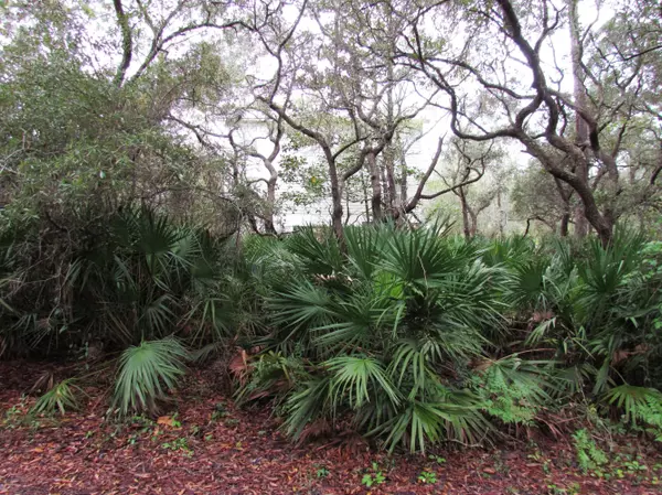 Santa Rosa Beach, FL 32459,xxx Grayton Trails