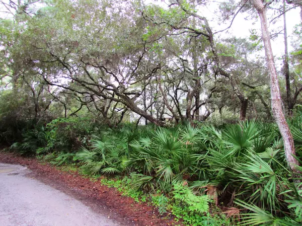 Santa Rosa Beach, FL 32459,xxx Grayton Trails