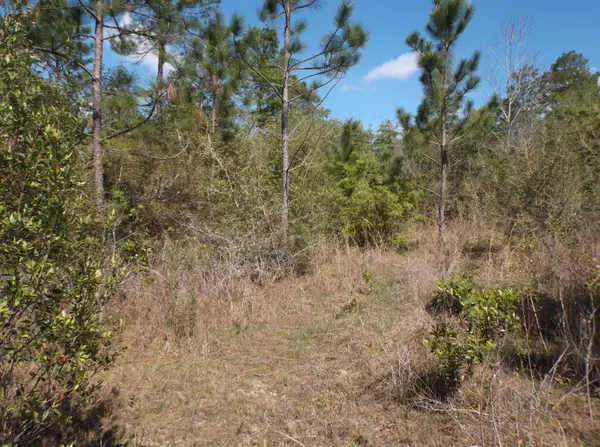 Crestview, FL 32539,Lot 11 Browning Court