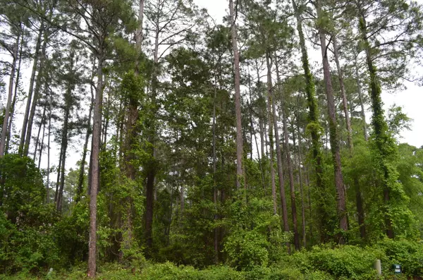 Santa Rosa Beach, FL 32459,L-12 BLK-E Driftwood Point Road