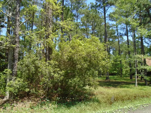 Lot 2 CRISSMAN Road, Santa Rosa Beach, FL 32459