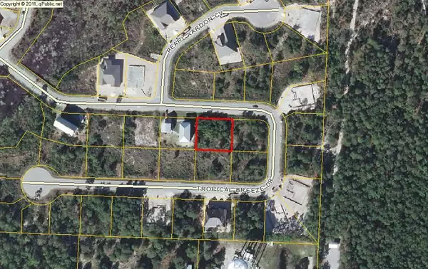 Santa Rosa Beach, FL 32459,LOT 146 Tropical Breeze Drive