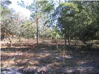 Point Washington, FL 32459,Lot 19 Ricker Avenue