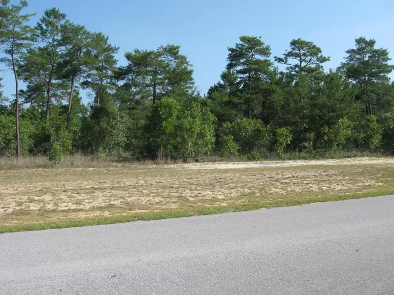 LOT25A Brushed Dune Circle, Freeport, FL 32439