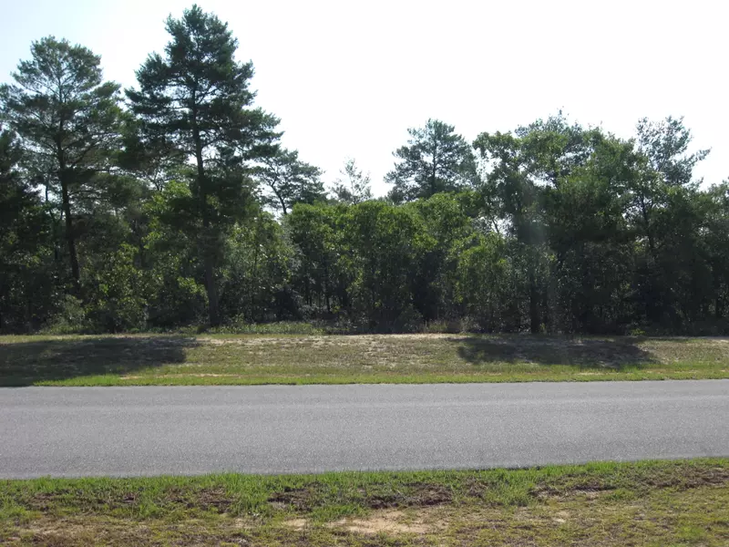 LOT 15A Brushed Dune Circle, Freeport, FL 32439