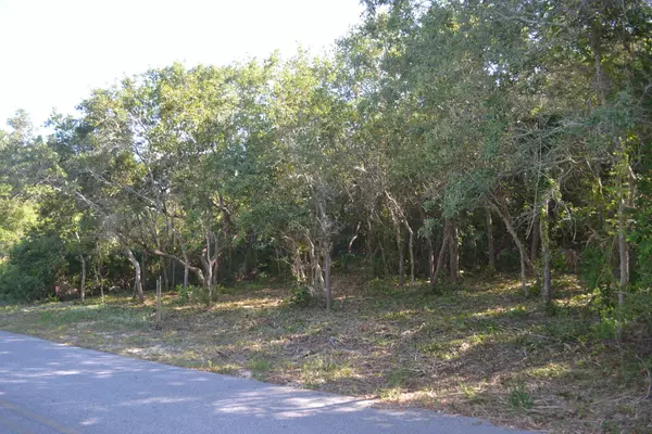 Santa Rosa Beach, FL 32459,Lot 38 Baird Rd