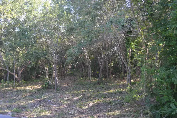 Santa Rosa Beach, FL 32459,Lot 38 Baird Rd