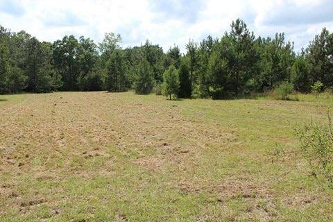 10.8 acres Hwy 602, Laurel Hill, FL 32567