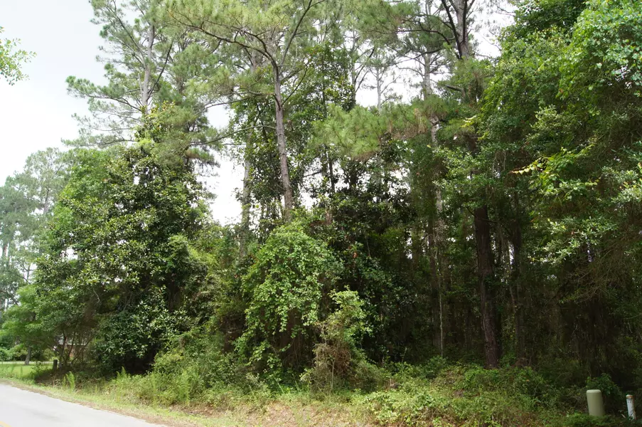 Lot 3 Driftwood Point Road, Santa Rosa Beach, FL 32459