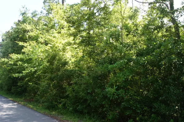 Lot 156 Bayou Circle, Freeport, FL 32439