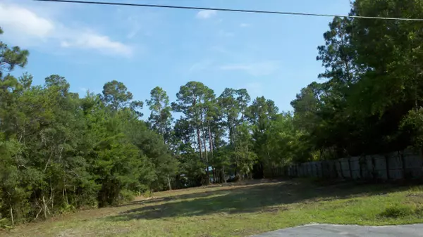 Freeport, FL 32439,Lot 8 Bayou Forest W Drive