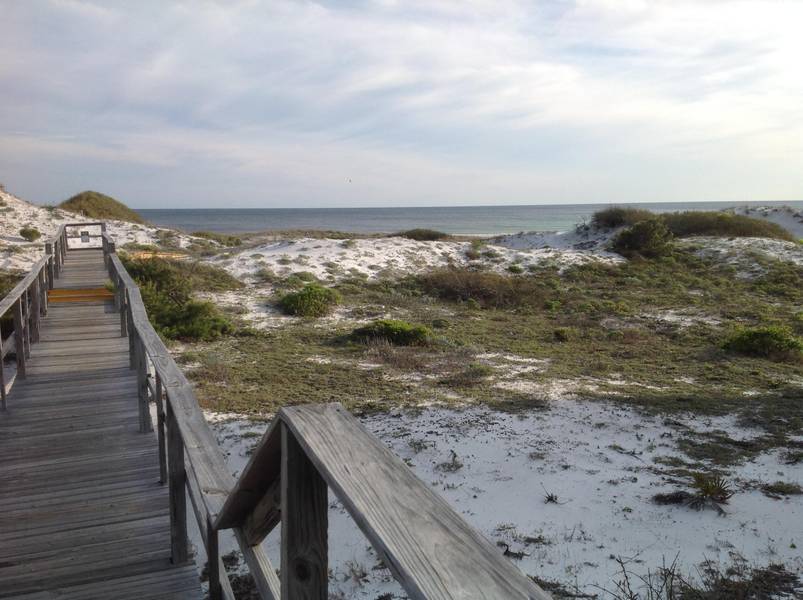 LOT 116 THE PRESERVE AT GRAYTON BEACH, Santa Rosa Beach, FL 32459