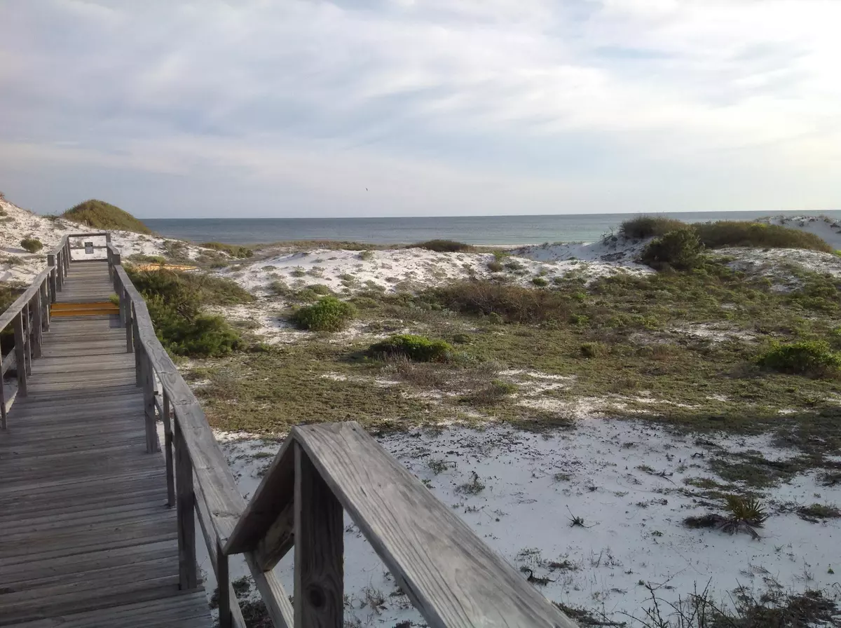 Santa Rosa Beach, FL 32459,LOT 116 THE PRESERVE AT GRAYTON BEACH