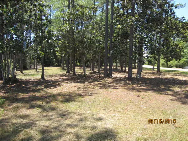 Santa Rosa Beach, FL 32459,Lot 15 RIVER