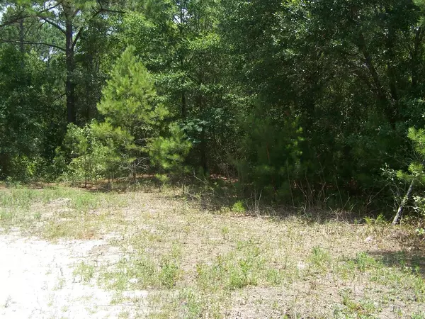 Freeport, FL 32439,Lots 1,2,3 RUTH Road