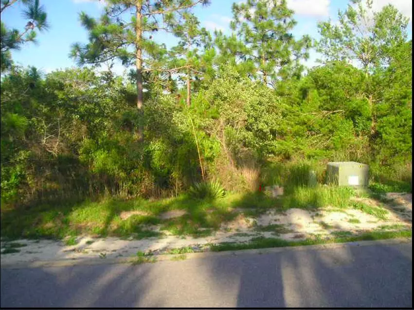 Santa Rosa Beach, FL 32459,Lot 153 SWEET BREEZE