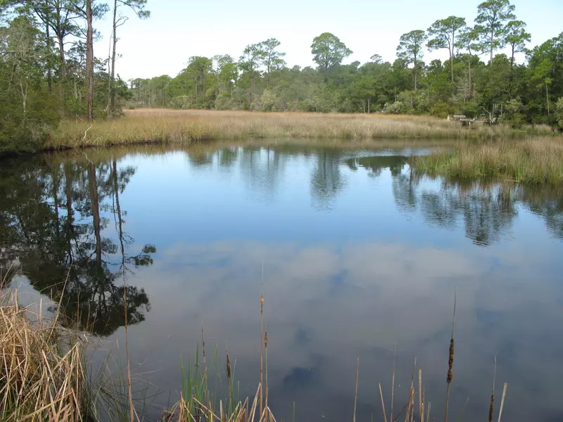 Lot 19 PINE CONE Trail, Inlet Beach, FL 32461