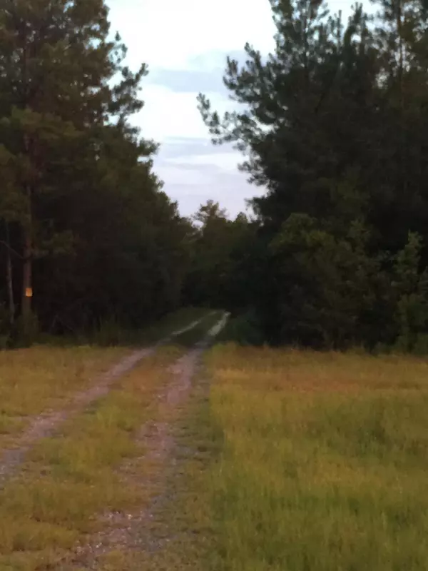 Crestview, FL 32539,40 AC Sunburst West Drive  #Ext