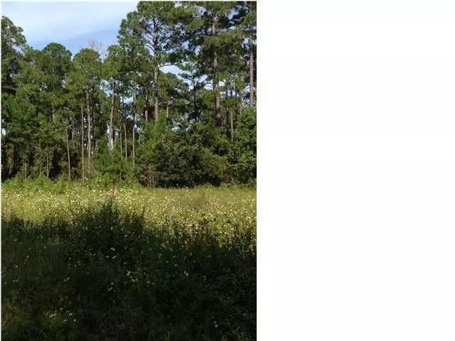 Santa Rosa Beach, FL 32459,LOT 1 E HEWETT Road