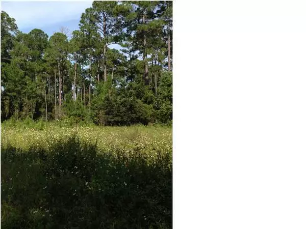 LOT 1 E HEWETT Road, Santa Rosa Beach, FL 32459